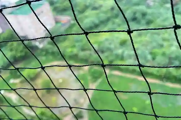 Taubennetz