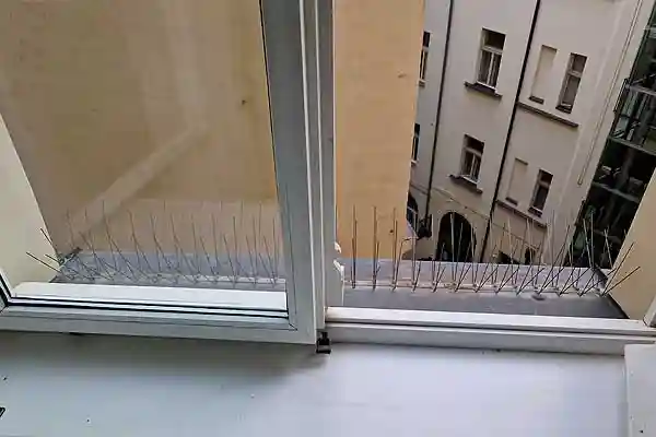 Taubenspikes aus V2A