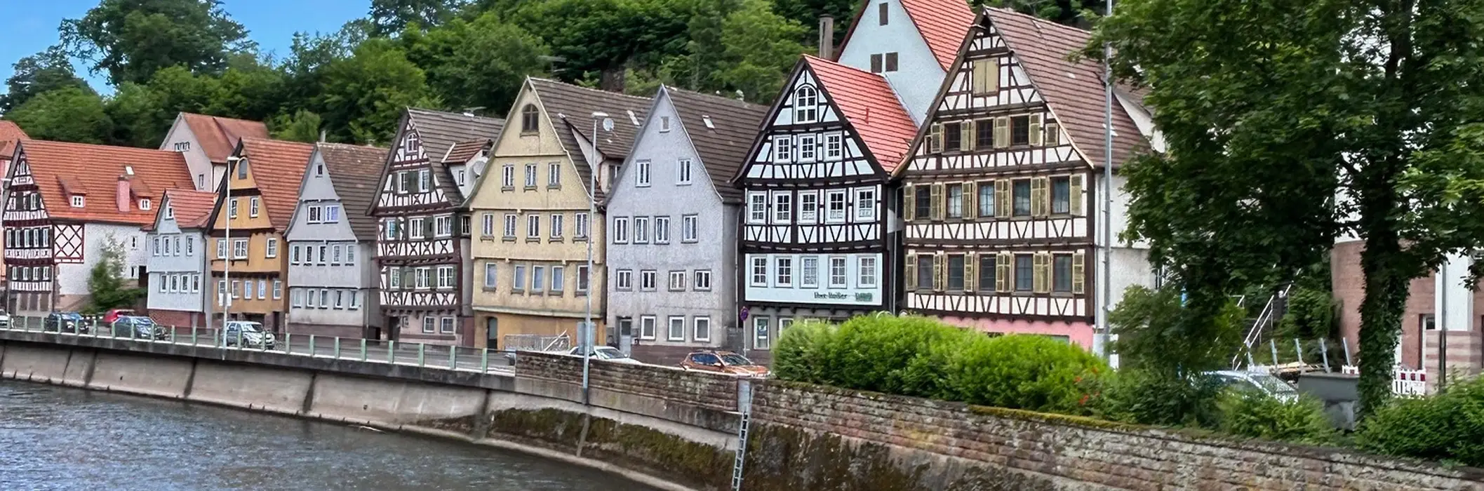 Ihr Kammerjäger in Calw Pirminius